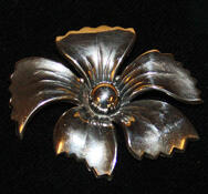 Blombrosch i silver
